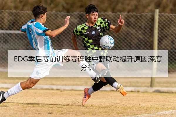 EDG季后赛前训练赛连胜中野联动提升原因深度分析